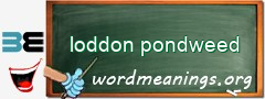 WordMeaning blackboard for loddon pondweed